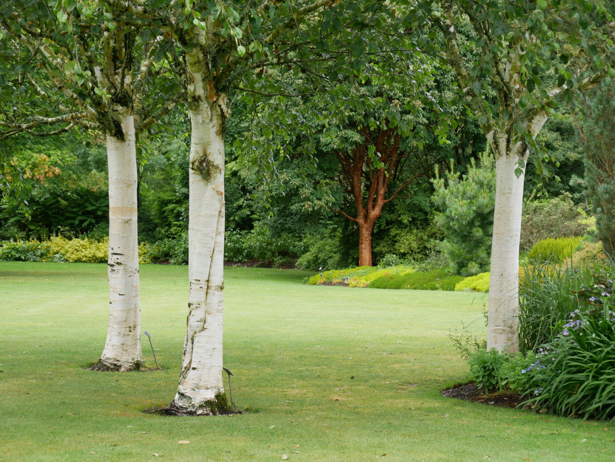 Iconic plant combinations