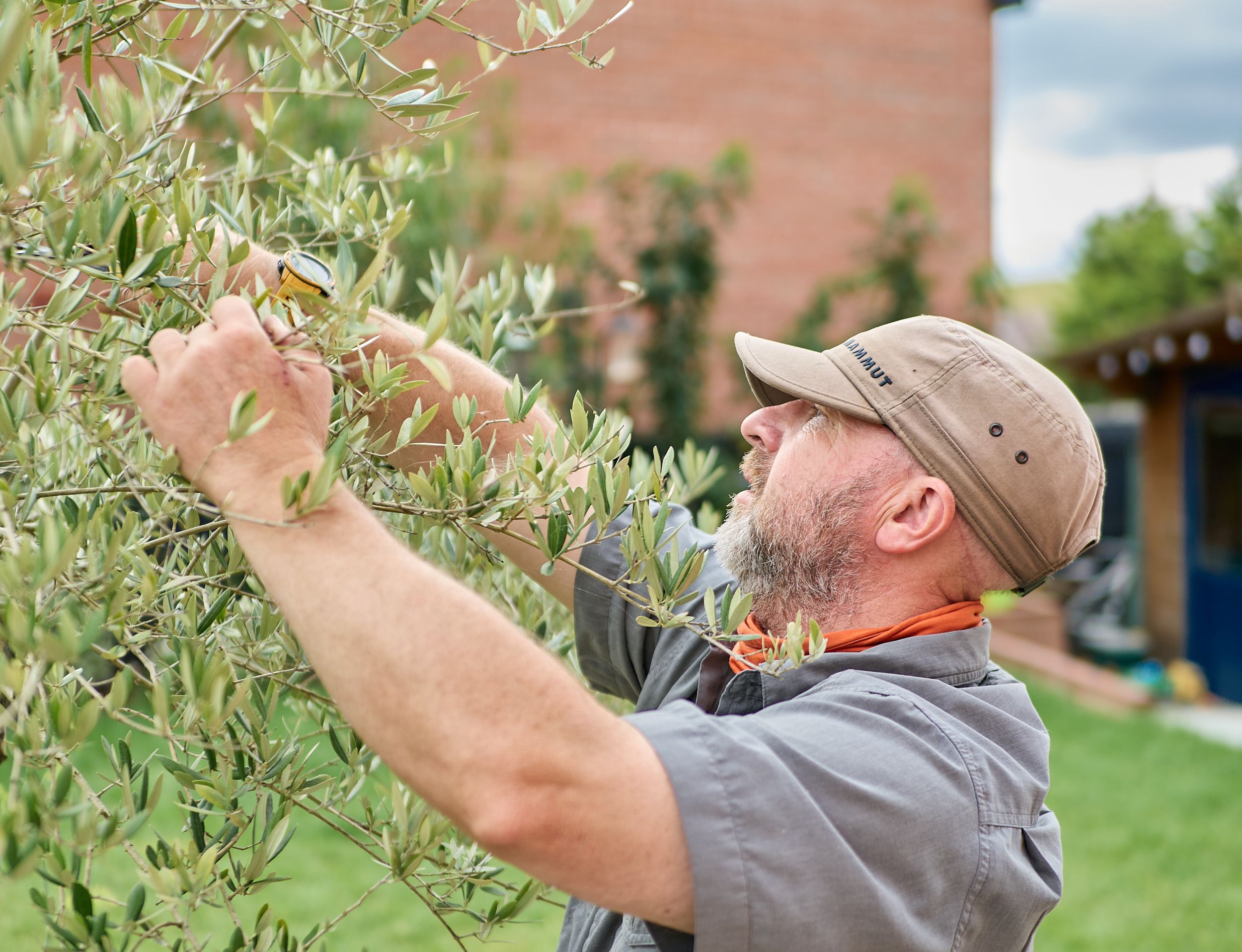 Virtual Garden Consultancy