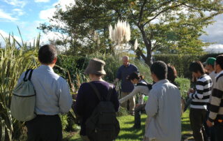 Plant identification walk in Japan
